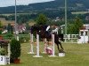 jumper Maximus 76 (German Sport Horse, 2008, from Mill Reef)