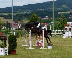 jumper Maximus 76 (German Sport Horse, 2008, from Mill Reef)