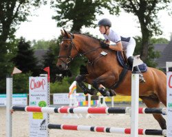 jumper Lea (German Sport Horse, 2005, from Lefevre)