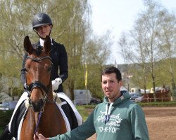 dressage horse Ikiedo M (Westphalian, 2011, from Impetus)