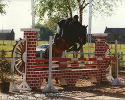 horse Uranus van ter Weerde (Belgian Warmblood, 1997, from Graf Grannus)