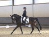 dressage horse Nobeltje (German Riding Pony, 2009, from Night-Power)