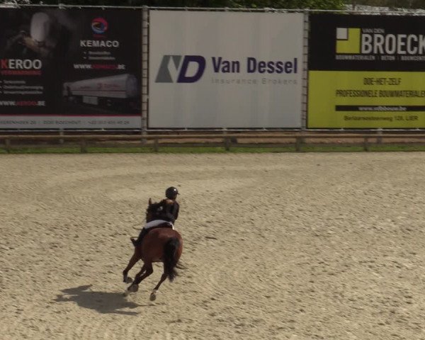 Gouden Laars - Azelhof - Lier 2020