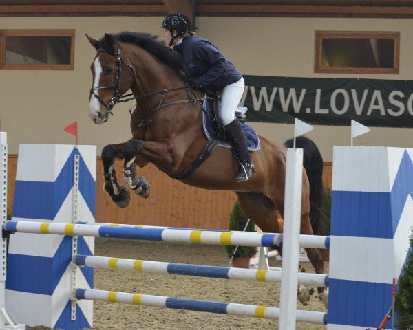 jumper Zamat (KWPN (Royal Dutch Sporthorse), 2004, from Tadmus)