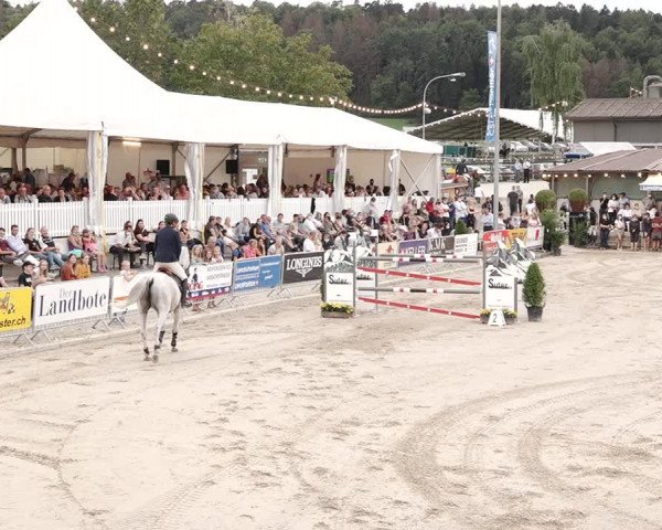 Reitturnier Humlikon 2020