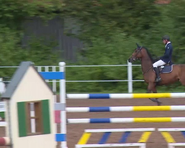 Reitturnier Demantsfürth/Mfr. 2020