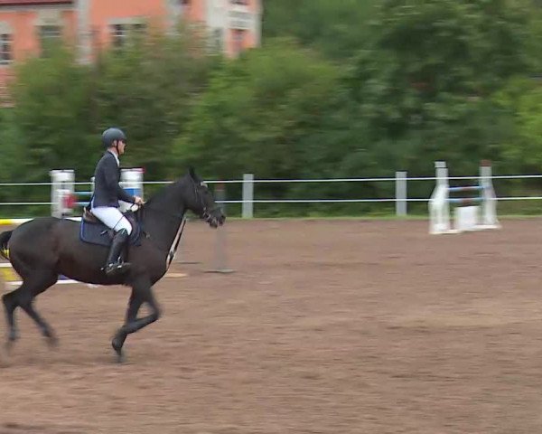 Reitturnier Demantsfürth/Mfr. 2020