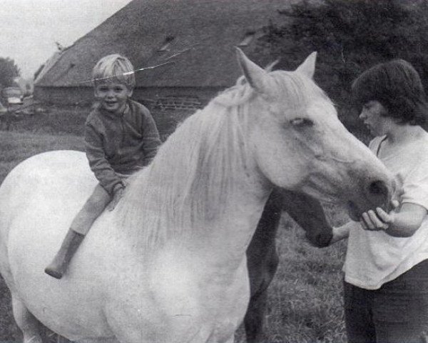 Zuchtstute Prescott Winsome (New-Forest-Pony, 1959, von Prescott Junius)