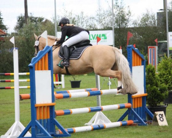 jumper Memory 120 (German Riding Pony, 2002, from Moraco)