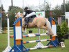 jumper Memory 120 (German Riding Pony, 2002, from Moraco)