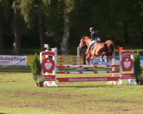 Reitturnier Pasewalk 2020