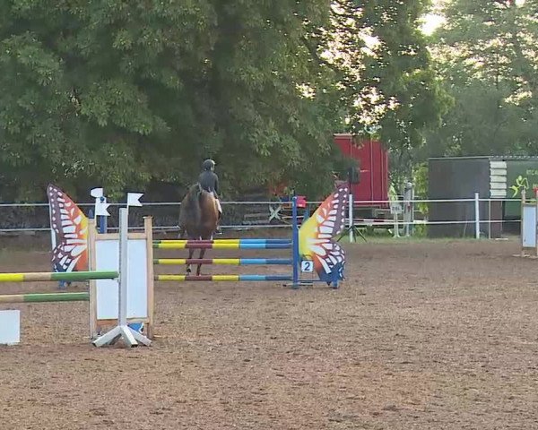 Reitturnier Demantsfürth/Mfr. 2020