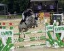 jumper Qualifying (Westphalian, 2013, from Quality Time)