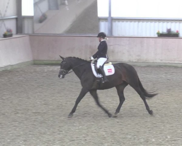 Reitturnier Ahaus 2020