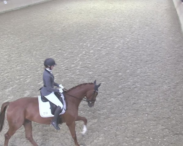 Reitturnier Ahaus 2020