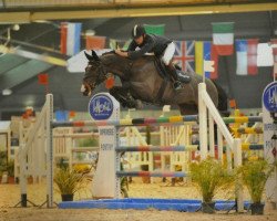 jumper Quickboy de Maibelle (Belgium Sporthorse, 2000, from Nonstop)