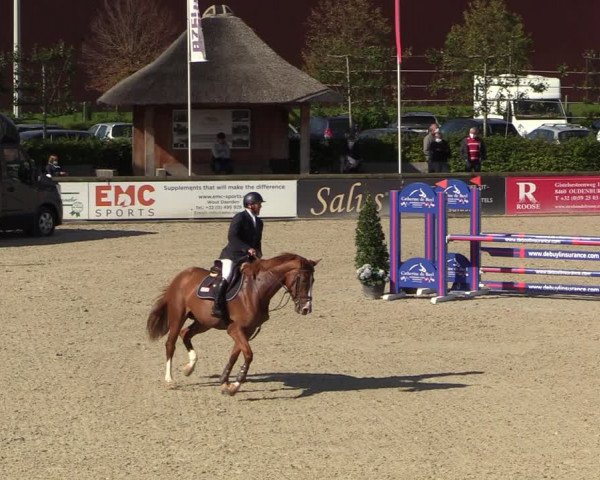 Belgisch Kampioenschap 4-5 Jarigen Paarden