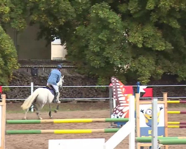 Reitturnier Demantsfürth/Mfr. 2020