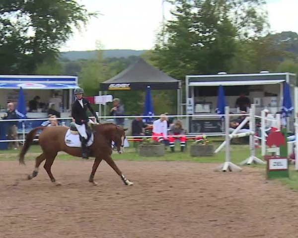 Reitturnier Demantsfürth/Mfr. 2020