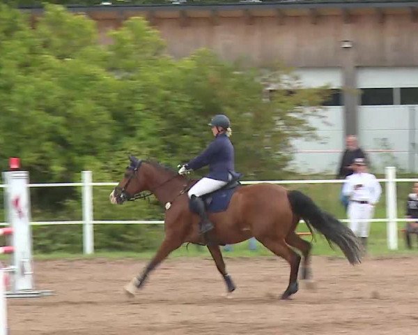 Reitturnier Demantsfürth/Mfr. 2020