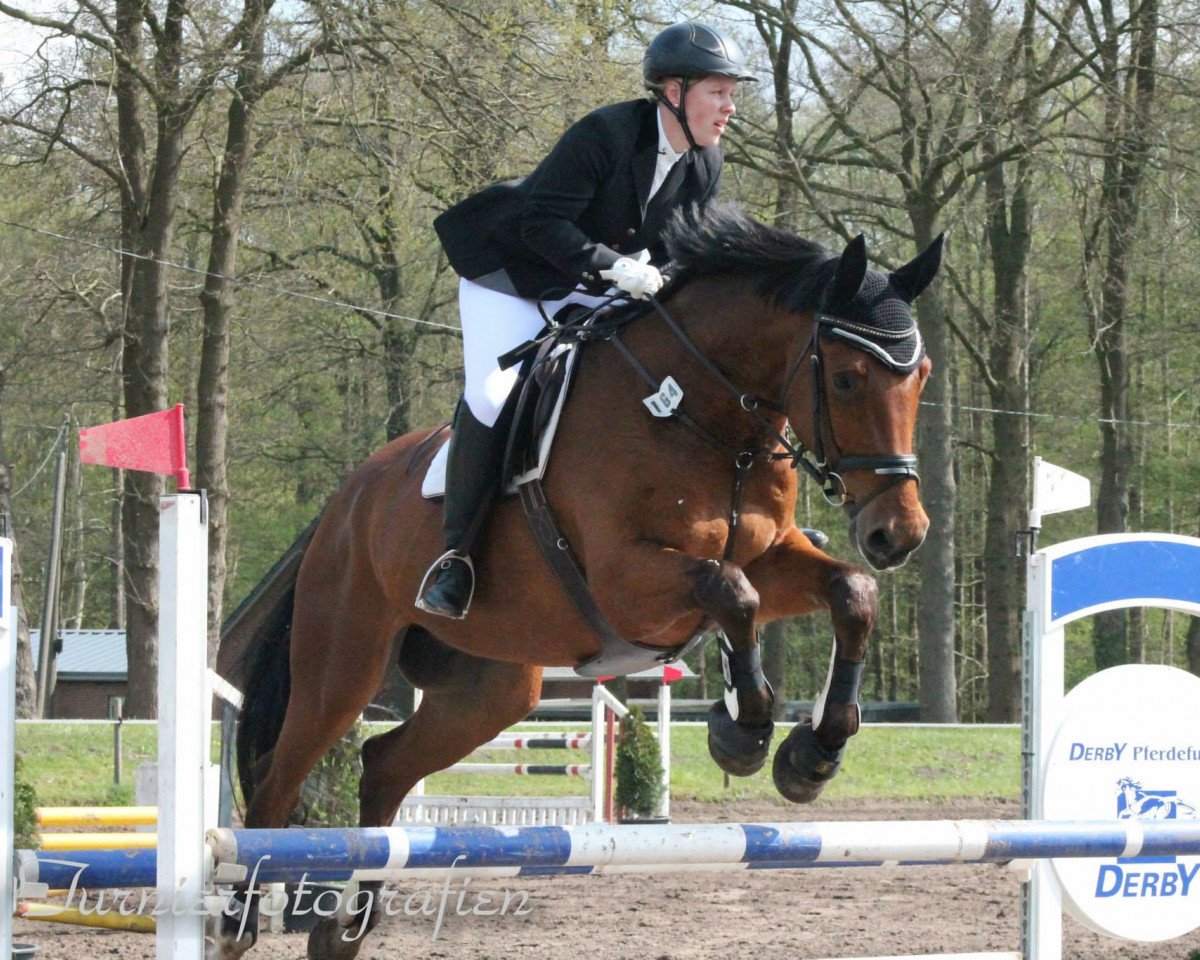 jumper Charly Chaplin 31 (Westphalian, 2004, from Collin L)
