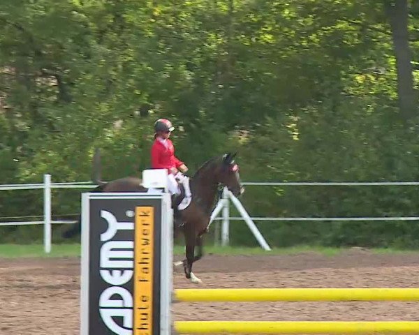Reitturnier Demantsfürth/Mfr. 2020