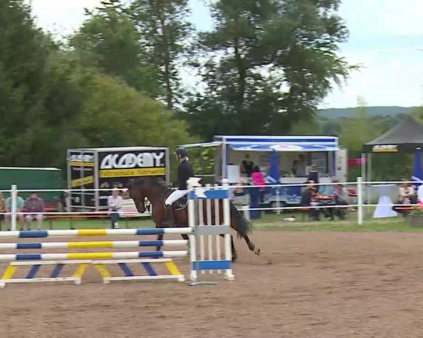 Reitturnier Demantsfürth/Mfr. 2020