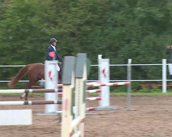 Reitturnier Demantsfürth/Mfr. 2020