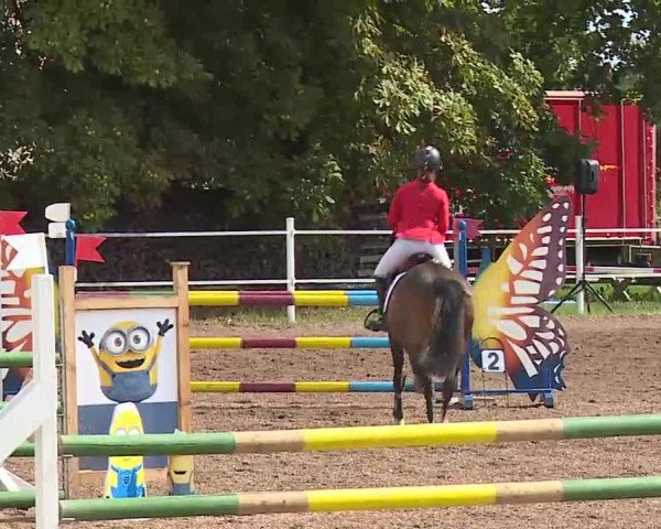 Reitturnier Demantsfürth/Mfr. 2020