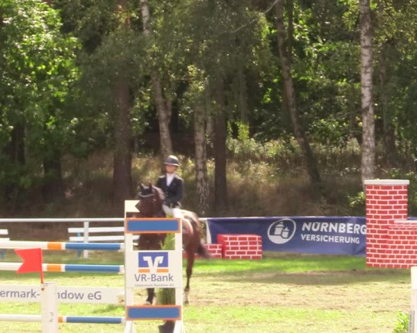 Reitturnier Pasewalk 2020