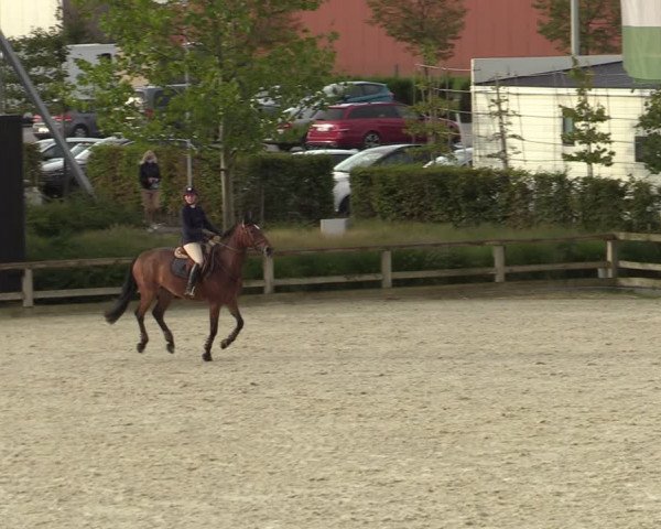 Gouden Laars - Azelhof - Lier 2020