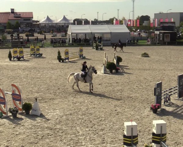 Gouden Laars - Azelhof - Lier 2020