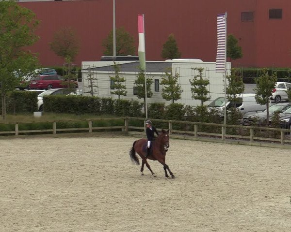 Gouden Laars - Azelhof - Lier 2020