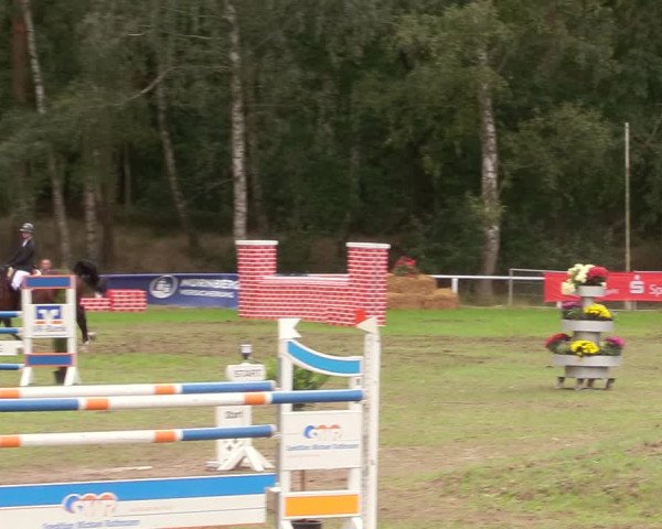 Reitturnier Pasewalk 2020