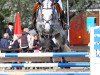 jumper Galupy KHR (Hanoverian, 2008, from Gibraleon)