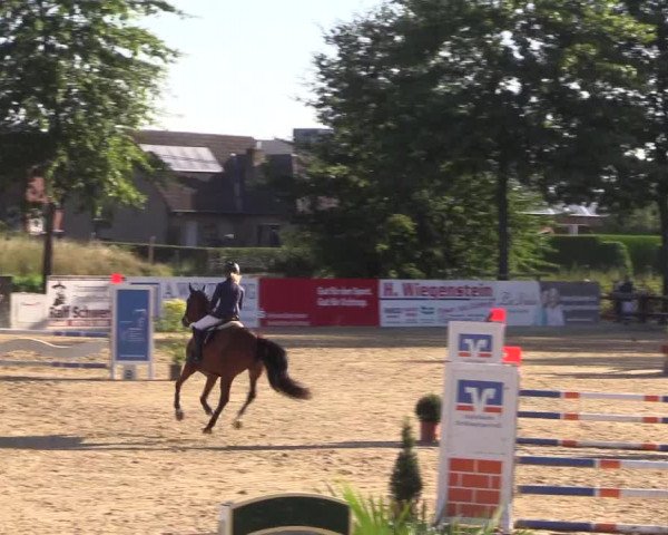 Reitturnier Ochtrup 2020