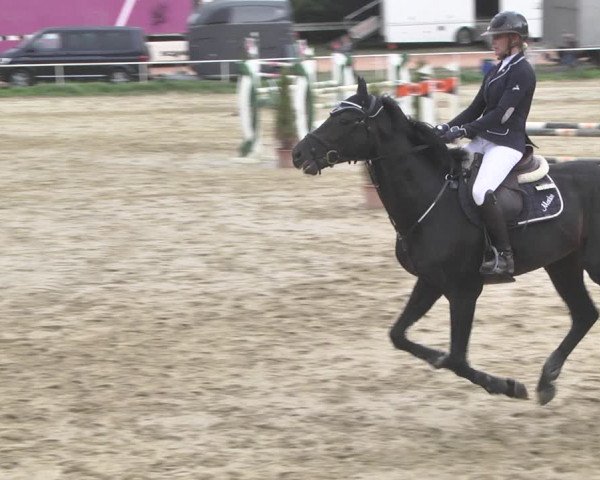 Reitturnier Heiligenwald 2020