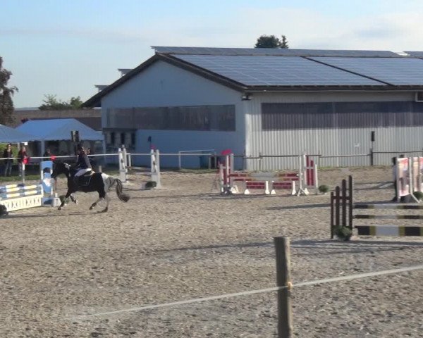 Reitturnier Eitorf-Lindscheid 2020