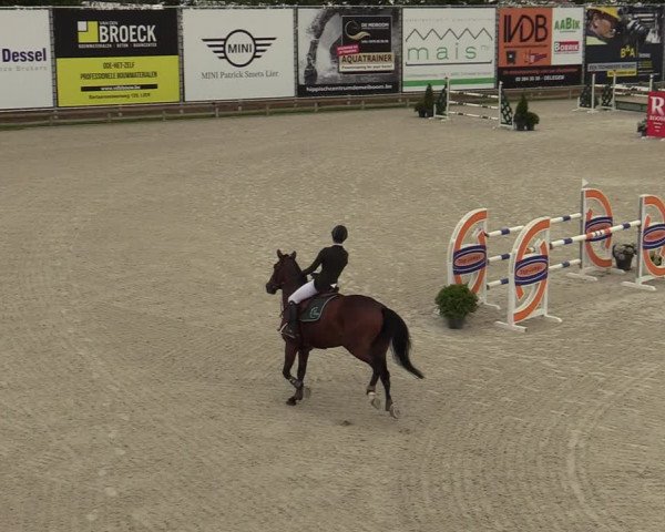 Gouden Laars - Azelhof - Lier 2020
