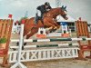 broodmare Lac de Constance (Oldenburg show jumper, 2009, from Ludwigs As)