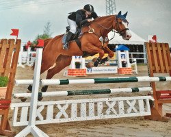 broodmare Lac de Constance (Oldenburg show jumper, 2009, from Ludwigs As)