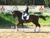 dressage horse Fausto Armani (Bavarian, 2005, from Falsterbo)