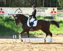 dressage horse Fausto Armani (Bavarian, 2005, from Falsterbo)