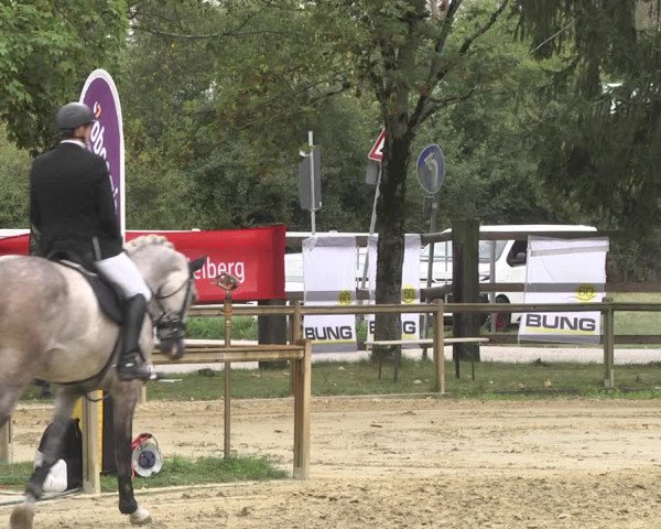 Reitturnier Walldorf/Winterheck 2020