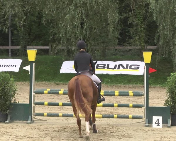 Reitturnier Walldorf/Winterheck 2020