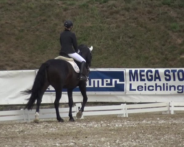 Reitturnier Leichlingen-Witzhelden 2020