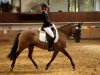 dressage horse Kessy 195 (German Riding Pony, 2002)