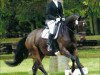 broodmare Coco Chanel 120 (Hanoverian, 2003, from Connery)