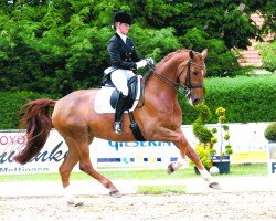 dressage horse Fidelia 167 (Oldenburg, 2008, from Fidertanz)