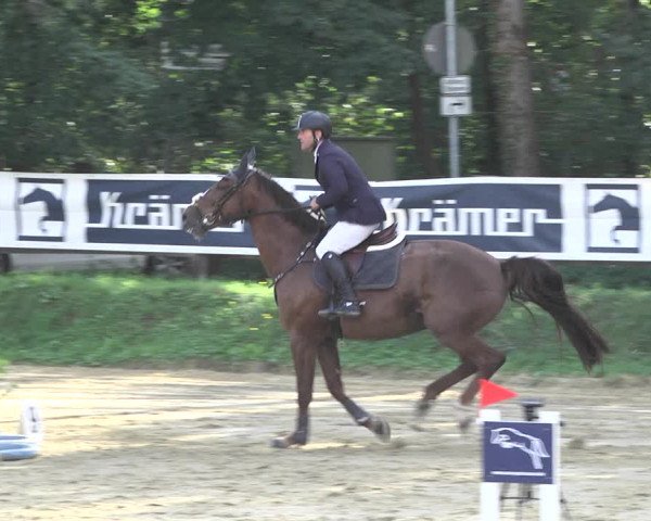 Reitturnier Walldorf/Winterheck 2020
